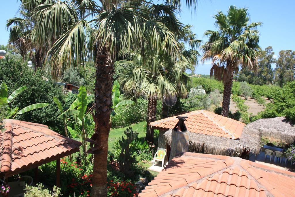 Dalyan Garden Pension Room photo